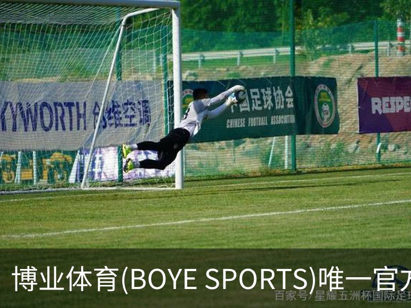 博业体育(BOYE SPORTS)唯一官方网站概况